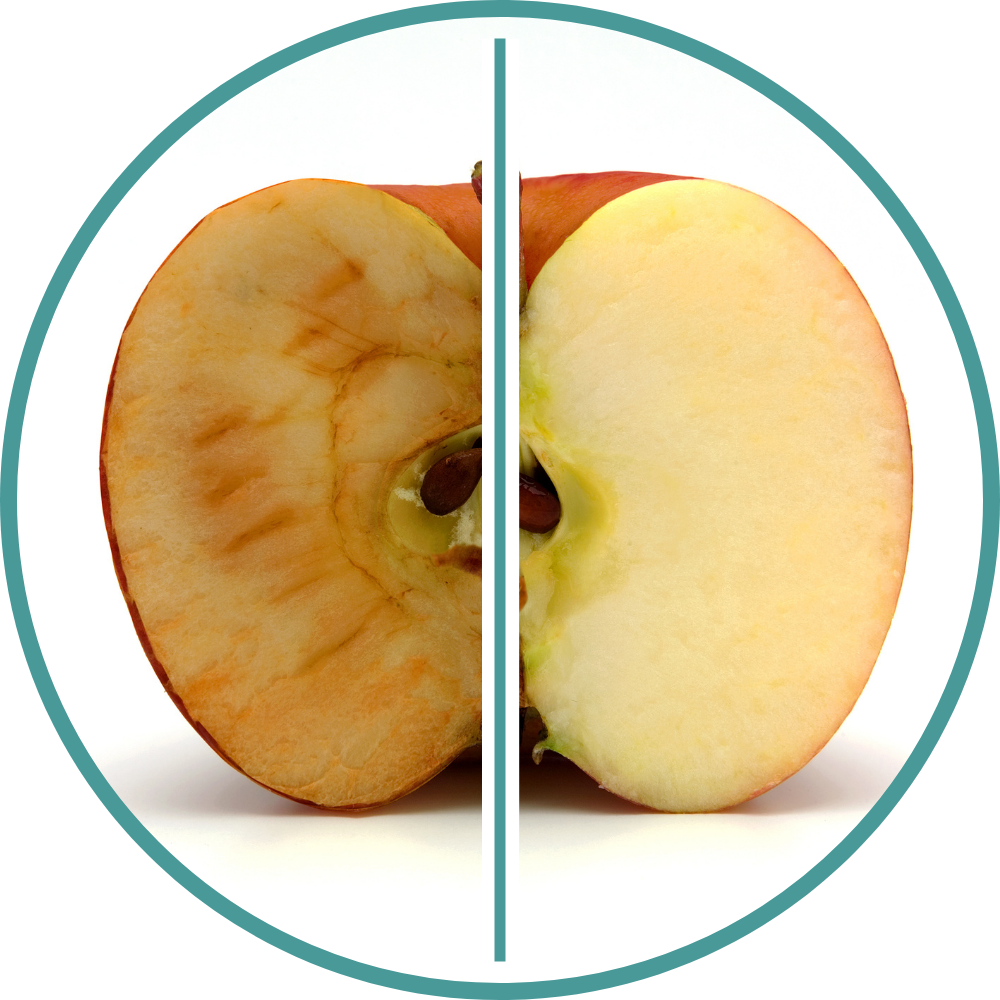 Advantage Icon